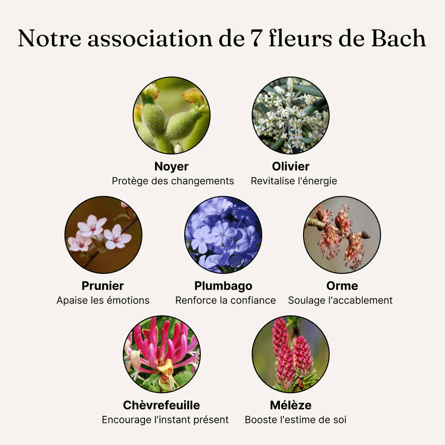 MENOPAUSE - Fleurs de bach - Image 5
