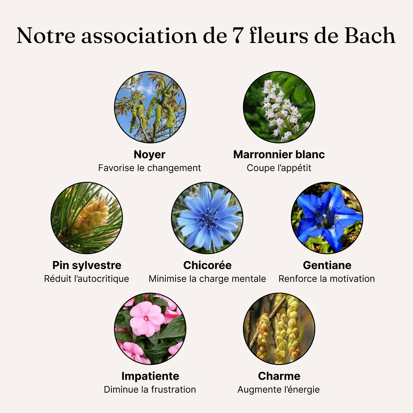Élixir Perte de poids durable - Fleurs de Bach - Image 7